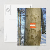 オーストリア国旗の木 ポストカード (正面/裏面)