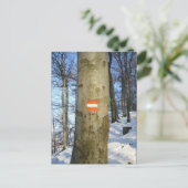 オーストリア国旗の木 ポストカード (スタンド正面)