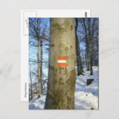 オーストリア国旗の木 ポストカード (正面/裏面)