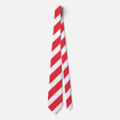オーストリア国旗の首のネクタイ ネクタイ (正面)