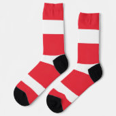 オーストリア国旗を持つ女性用ソックス ソックス (左)