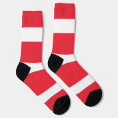 オーストリア国旗を持つ女性用ソックス ソックス (右)