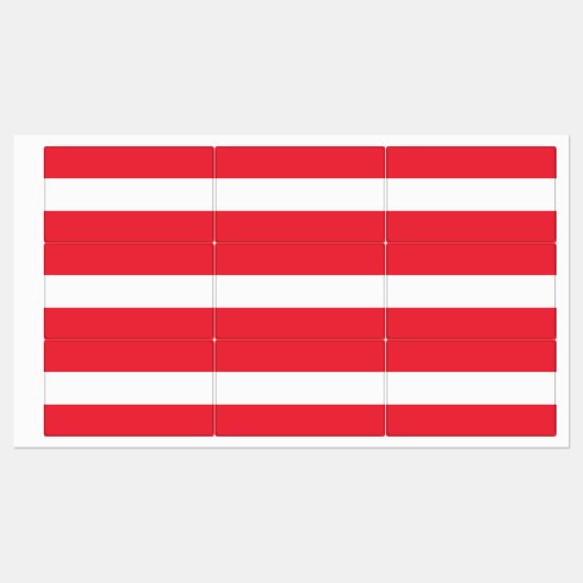 オーストリア国旗を持つ愛国的ラベル ラベル (シート)