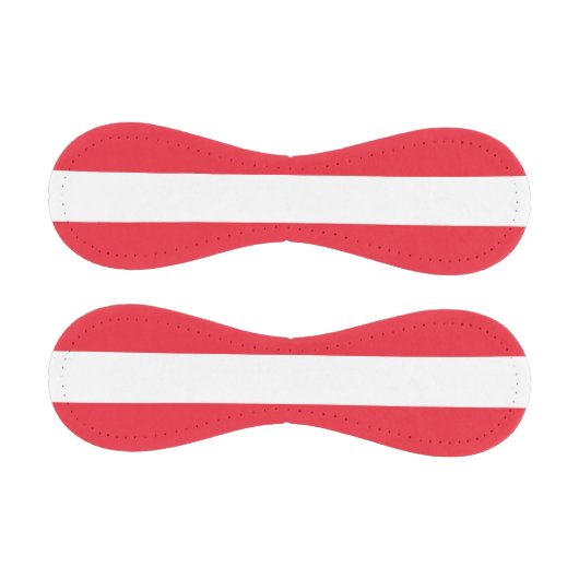 オーストリア国旗を持つ愛国野球 野球ボール (パネル)