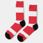 オーストリア国旗を持つ男性クルーのソックス。 ソックス (左)