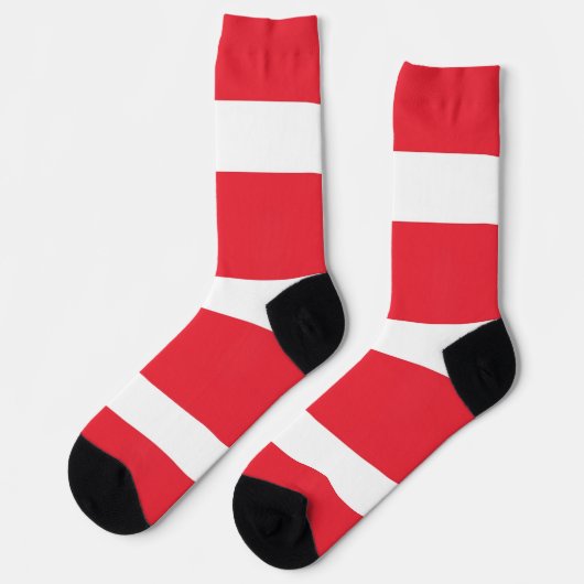 オーストリア国旗を持つ男性クルーのソックス。 ソックス (左)