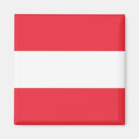 オーストリア国旗を掲げた磁石 マグネット (正面)