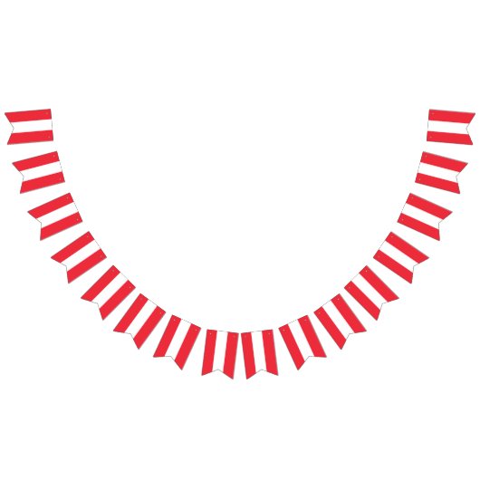 オーストリア国旗 バンティングフラッグ (全)