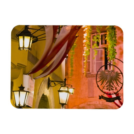 オーストリア、ウィーン：フリシュマルクト：グリーシェンガセ マグネット (横)