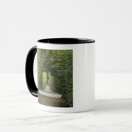 オーストリア、ウィーン。マリア·テレサのバロック2 マグカップ (正面左)