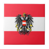 オーストリア タイル (正面)