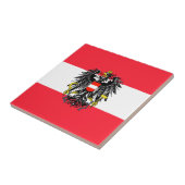 オーストリア タイル (側面)