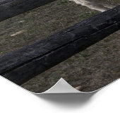 オーストリア=ハンガリーの白いロバ ポスター (角)