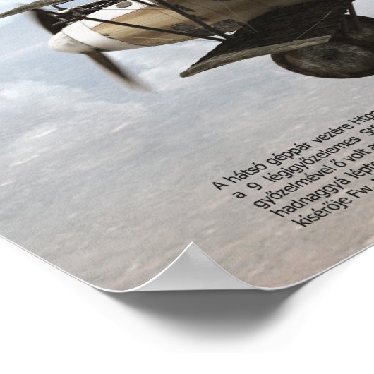 オーストリア・ハンガリーKuK空軍のトップエース ポスター (角)