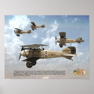 オーストリア・ハンガリーKuK空軍のトップエース ポスター