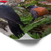 オーセイオデュケベック ポスター (角)