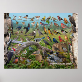 オーセイオデュケベック ポスター