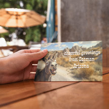 オータマンアリゾナ，ニコニコ