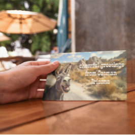 オータマンアリゾナ,ニコニコ 招待状