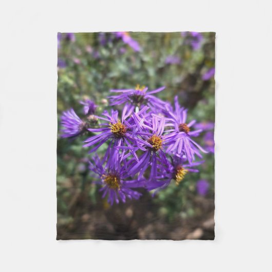 オータムのパープルグロー フリースブランケット (正面)