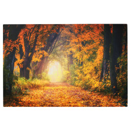 オータムアベニュー メタルプリント