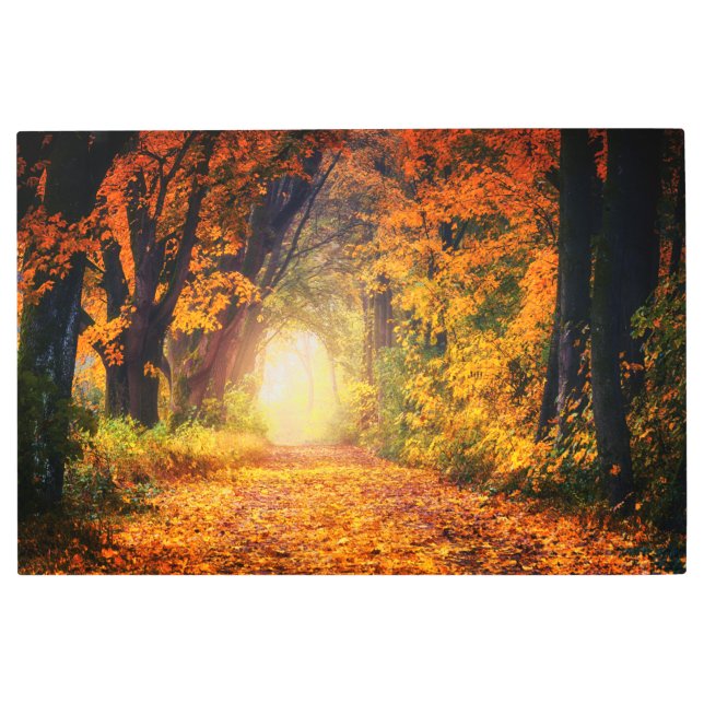 オータムアベニュー メタルプリント (正面)