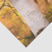 オータムイエロースケッチアートフォレスト葉樺の木ツリー 薄葉紙 (詳細)