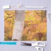 オータムイエロースケッチアートフォレスト葉樺の木ツリー 薄葉紙 (クラフト)