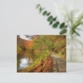 オータムウォークリンチバーグシティトレイル ポストカード (スタンド正面)