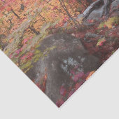 オータムウッドランドフォレストレッドオレンジツリーズデコパージュ 薄葉紙 (詳細)