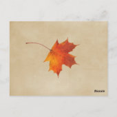 オータムオレンジ結婚紅葉のテーブル番号 ポストカード (裏面)