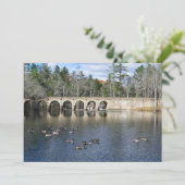 オータムオンバイrd湖 シーズンカード (スタンド正面)