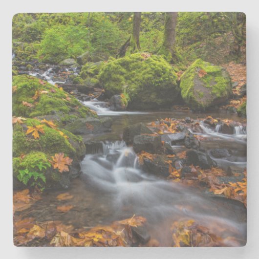 オータムカラーアロングスタベーションクリーク滝 ストーンコースター (正面)