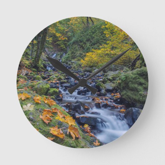 オータムカラーアロングスタベーションクリーク滝 ラウンド壁時計 (正面)