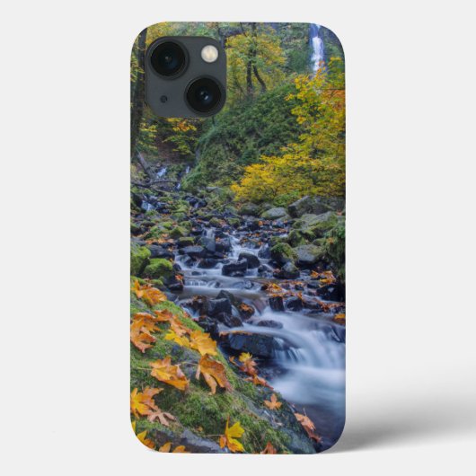 オータムカラーアロングスタベーションクリーク滝 Case-Mate iPhoneケース (裏面)