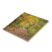 オータムカラーズアットインデペンデンス州パーク タイル (側面)