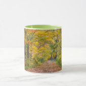 オータムカラーズアットインデペンデンス州パーク マグカップ (中央)