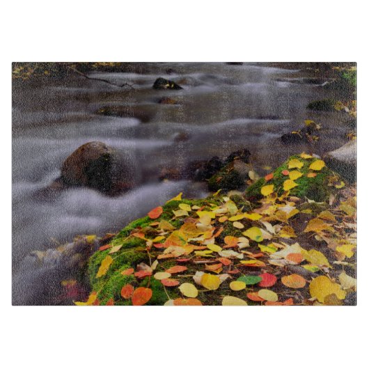 オータムカラーズアロンマギークリーク カッティングボード (正面)