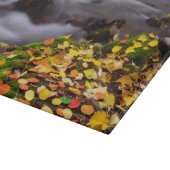 オータムカラーズアロンマギークリーク カッティングボード (角)