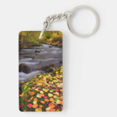 オータムカラーズアロンマギークリーク キーホルダー (裏面)