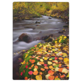 オータムカラーズアロンマギークリーク クリップボード (裏面)