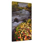 オータムカラーズアロンマギークリーク クリップボード (右)