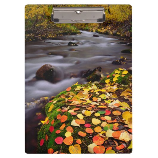 オータムカラーズアロンマギークリーク クリップボード (正面)