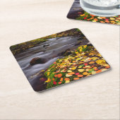 オータムカラーズアロンマギークリーク スクエアペーパーコースター (アングル)