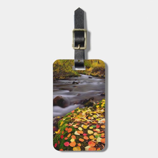 オータムカラーズアロンマギークリーク ラゲッジタグ (正面縦)