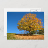 オータムカラーズ、ウェストバージニア ポストカード (正面/裏面)