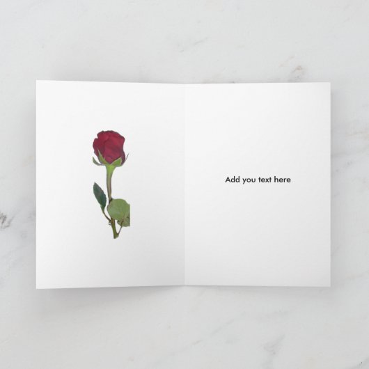 オータムシェードグリーンイエローサンキューカード サンキューカード (内部)