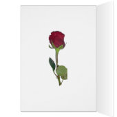 オータムシェードグリーン&イエロー結婚ズおめでとうカード (内側 (左))