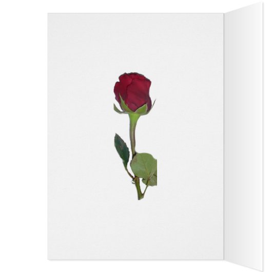 オータムシェードグリーン&イエロー結婚ズおめでとうカード (内側 (左))