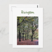 オータムツリーズリヴィントン ポストカード (正面/裏面)